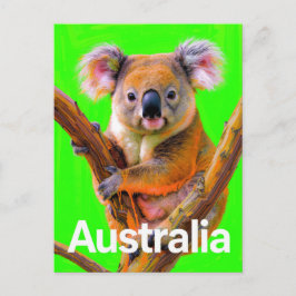Postal Australia Koala Bear Pop Art