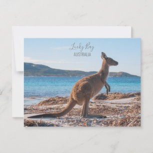 Postal Australia Lucky Bay Kangaroo en la foto de playa