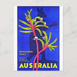 Postal Australia, patas de canguro, flores silvestres aus