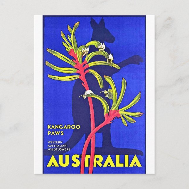 Postal Australia, patas de canguro, flores silvestres aus (Anverso)
