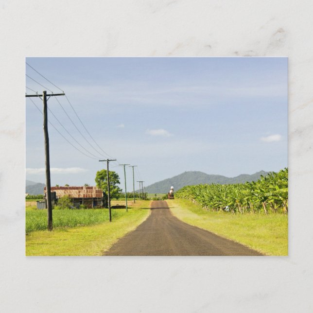 Postal Australia, Queensland, Costa Norte, Babinda. (Anverso)