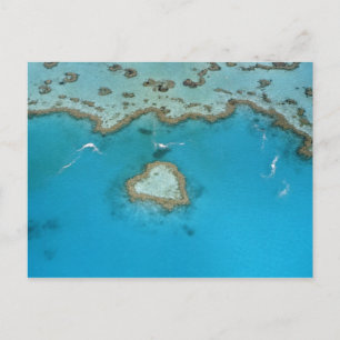 Postal Australia, Queensland, Las Islas Whitsunday,