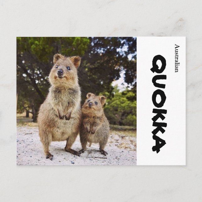 Postal Australia Quokka (Anverso)