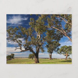 Postal Australia, Valle de Barossa, Mount Pleasant