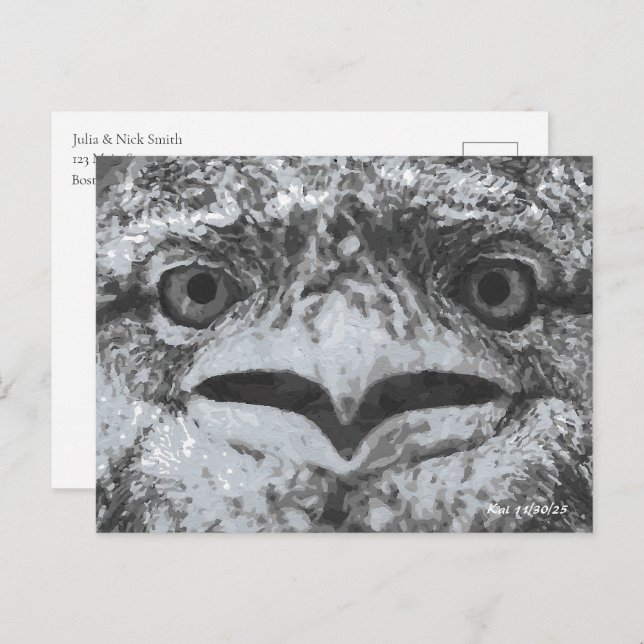 Postal Australian Wildlife, Nature's Curmudgeon, Animal (Anverso / Reverso)