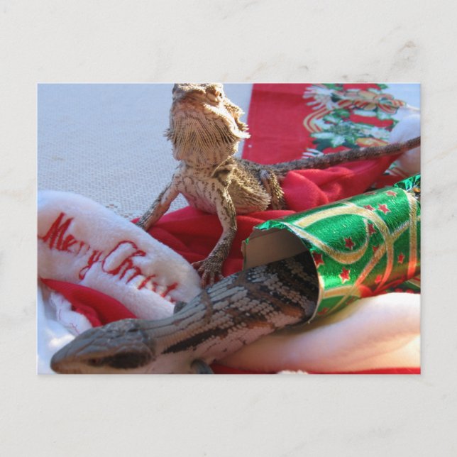 Postal australiana del navidad (Anverso)