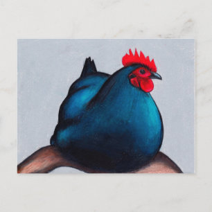 Postal Australorp Chicken Hen