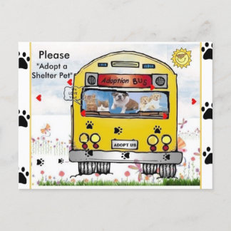 Postal Autobús de adopción para gato y perro