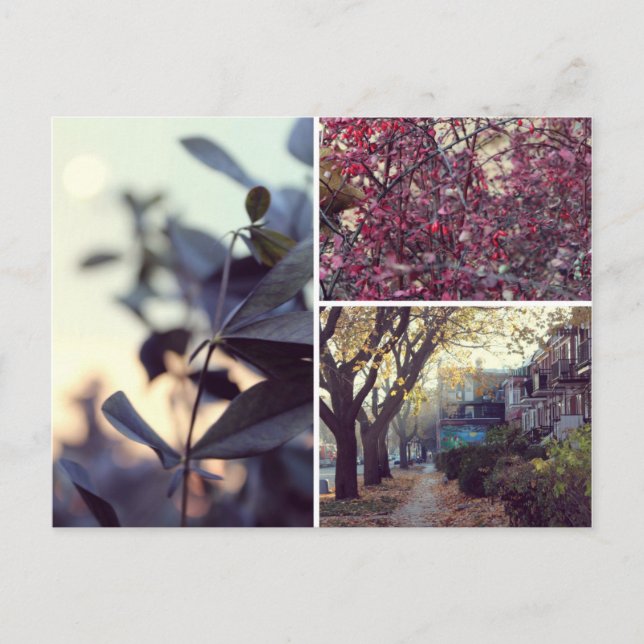 Postal Automóvil (Anverso)