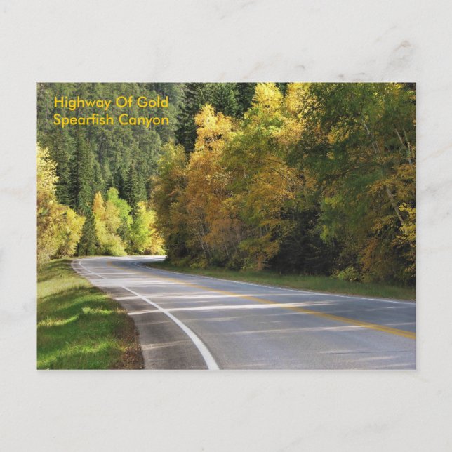 Postal Autopista de oro                  ... (Anverso)