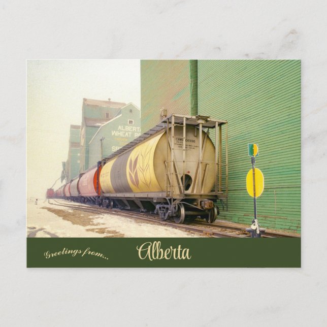 Postal Autos de grano en el río Espíritu Alberta Canadá (Anverso)