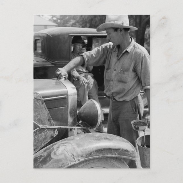 Postal Autos de trabajadores migratorios de la fruta, 194 (Anverso)