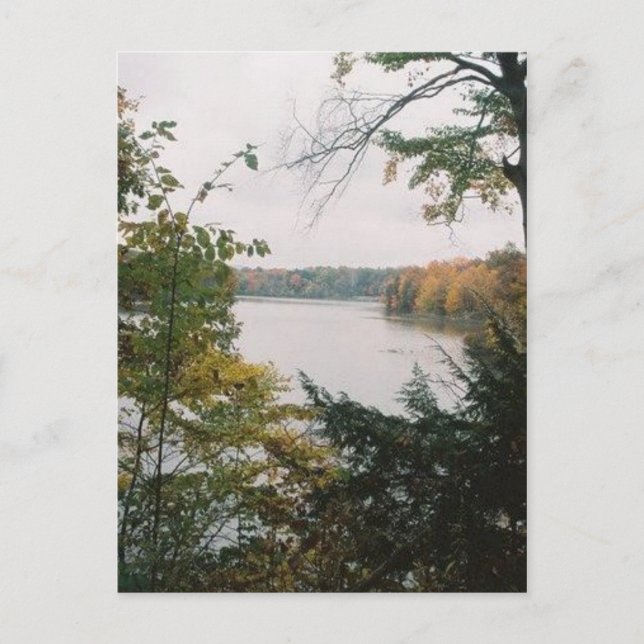 POSTAL AUTUMN (Anverso)