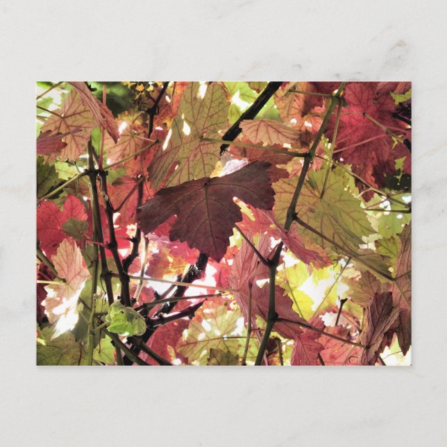 POSTAL AUTUMN (Anverso)