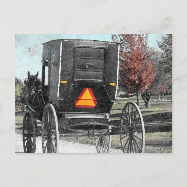 Postal Autumn Amish Buggy (Anverso)