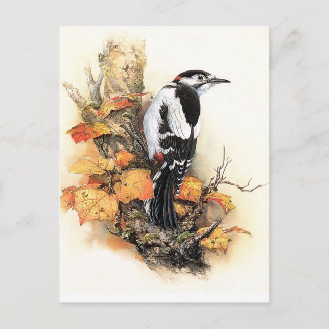 Postal Autumn Bird (Anverso)