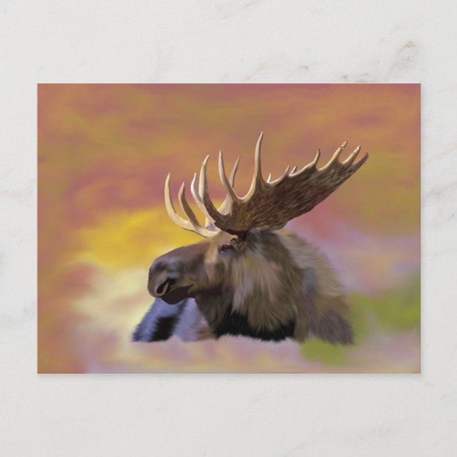 Postal Autumn Bull Moose (Anverso)