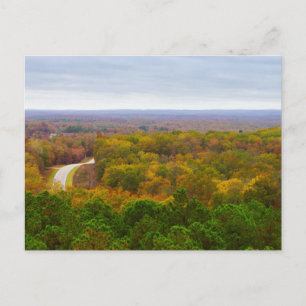 Postal Autumn Drive Pano Postcard