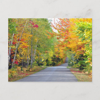Postal Autumn Fall Colors Road Quebec Canada Postcard