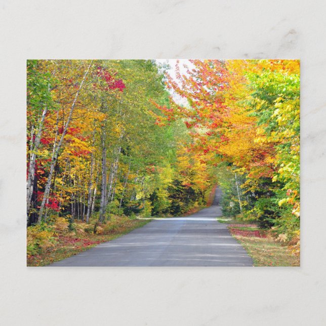 Postal Autumn Fall Colors Road Quebec Canada Postcard (Anverso)