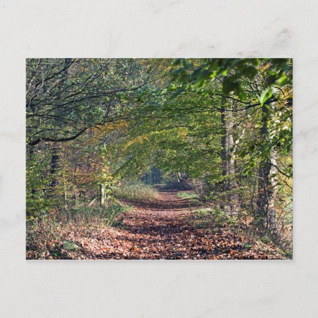 Postal Autumn Footpath Poynton Cheshire (Anverso)