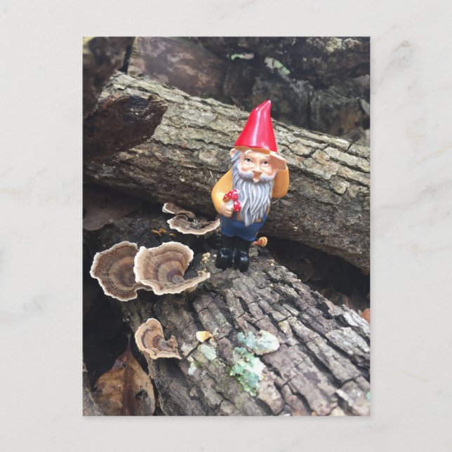 Postal Autumn Gnome (Anverso)