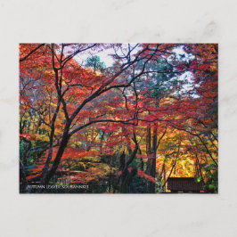 Postal Autumn Leaves: Kourannkei [Postcard]