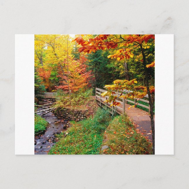 Postal Autumn Munising Trail Alger County Michigan (Anverso)