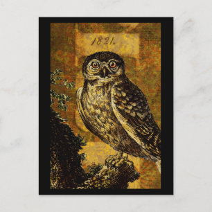 Postal Autumn Owl