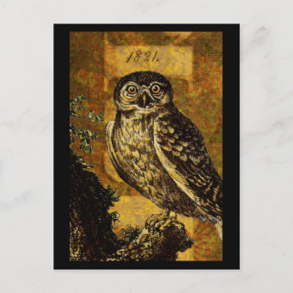Postal Autumn Owl