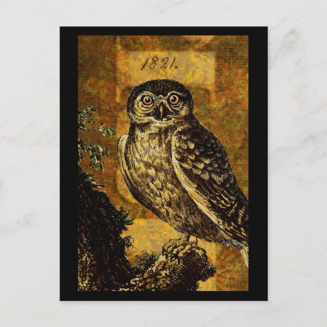 Postal Autumn Owl (Anverso)
