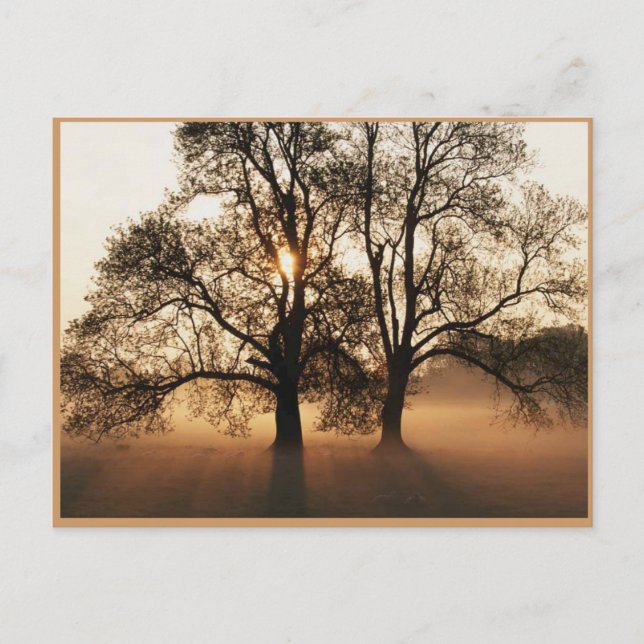 Postal Autumn Post Card (Anverso)