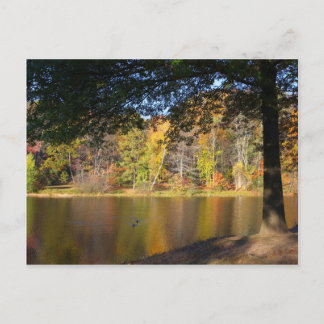 Postal Autumn Post Card Rockwell Park Bristol CT