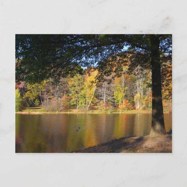 Postal Autumn Post Card Rockwell Park Bristol CT (Anverso)