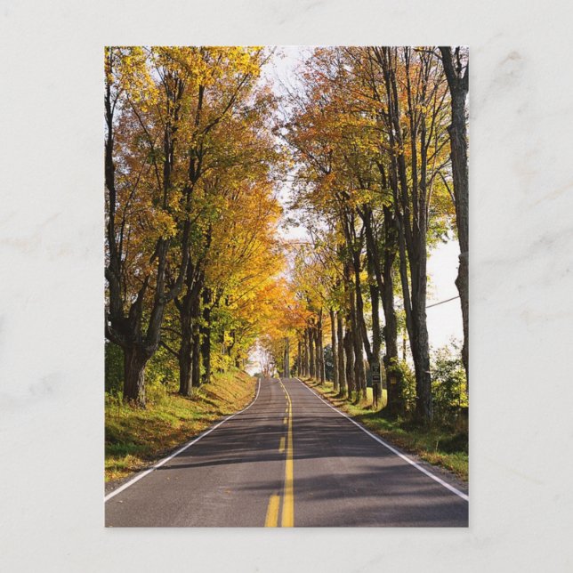 Postal Autumn Road (Anverso)