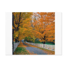 Autumn Scene Backroad New Hampshire