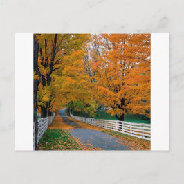 Postal Autumn Scene Backroad New Hampshire