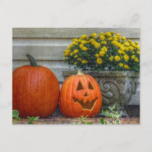 Postal Autumn Scene Post Card