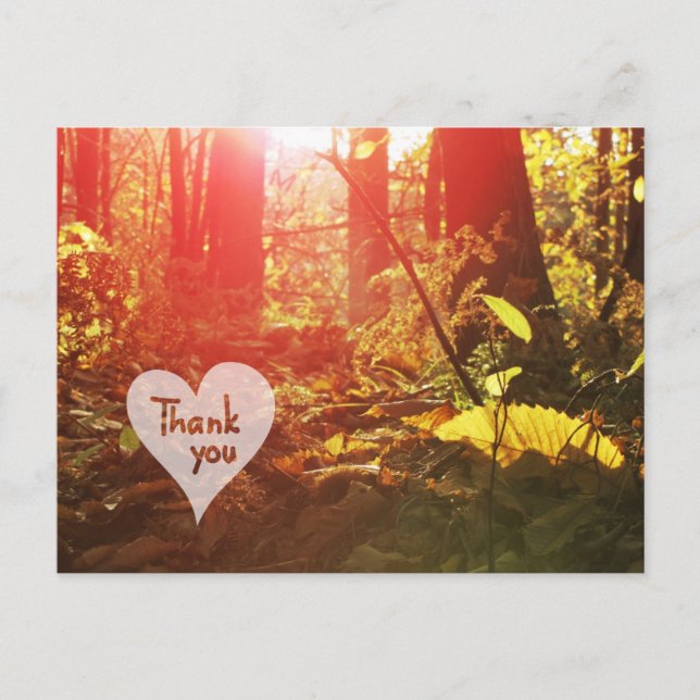 Postal Autumn Sunshine Forest Heart Gracias Postcard (Anverso)