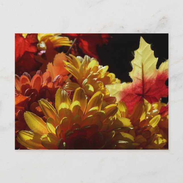 Postal Autumn Warmth (Anverso)