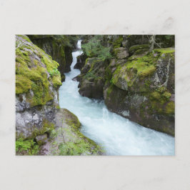 Postal Avalanche Gorge I en Glacier National Park