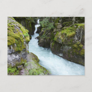 Postal Avalanche Gorge I en Glacier National Park