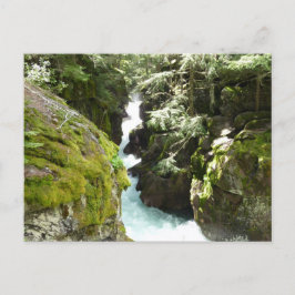 Postal Avalanche Gorge II en el Parque Nacional Glacier