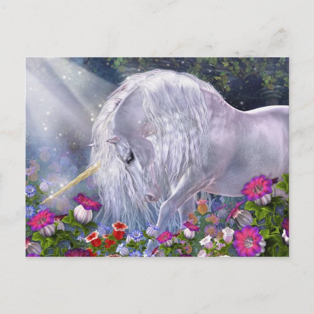 Postal Avalon Postcard (Anverso)