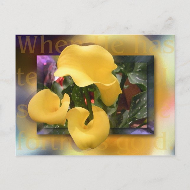 Postal Avanzar como oro (Anverso)