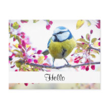 Ave azul bonito y amarillo en una sucursal