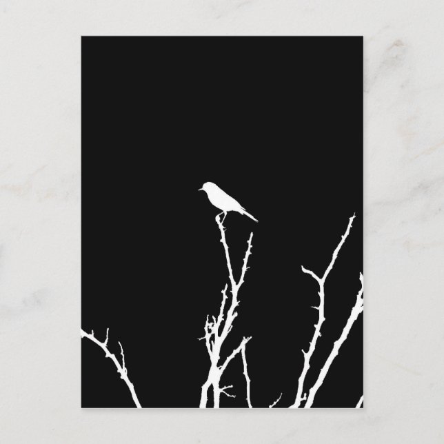 Postal Ave de Canto Nocturna (Anverso)