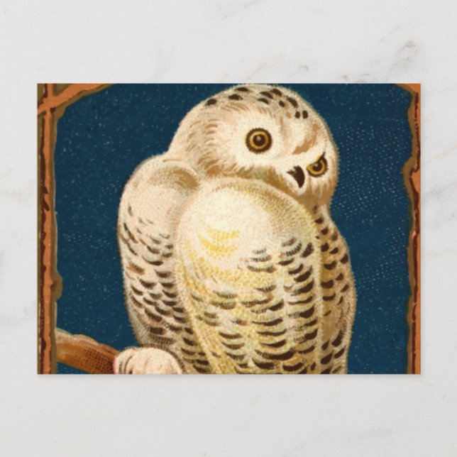 Postal Ave De Lechuza De Nieve Ártica - Primer Día De Inv (Anverso)