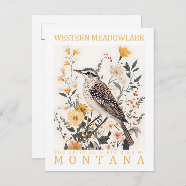Postal Ave de Meadowlark occidental de Montana USA Travel (Anverso / Reverso)