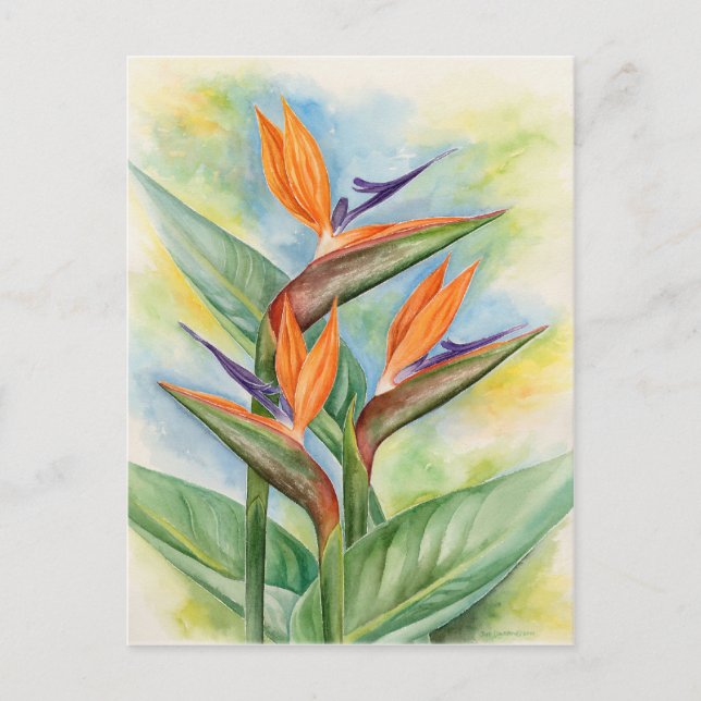 Postal Ave De Paraíso Flor Arte - Múltiple (Anverso)